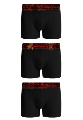 Boxer Harry Jons Samurai Pack